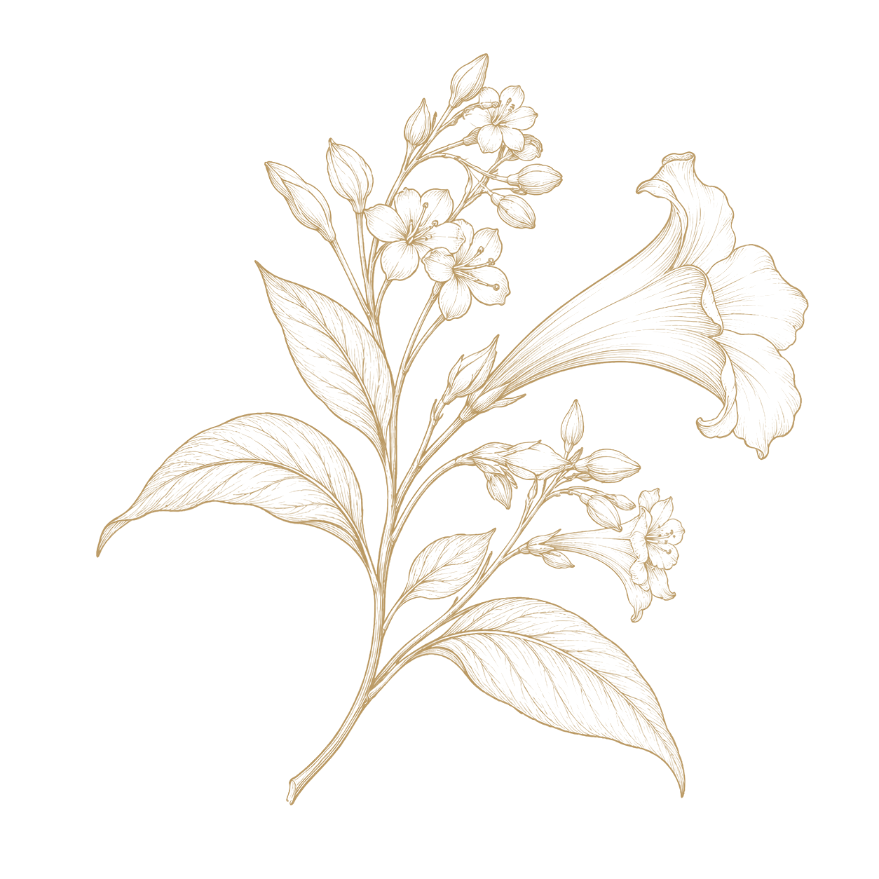 Natural form