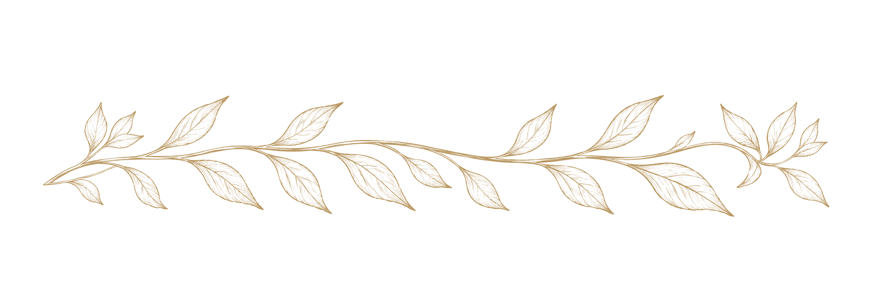 Border fragment