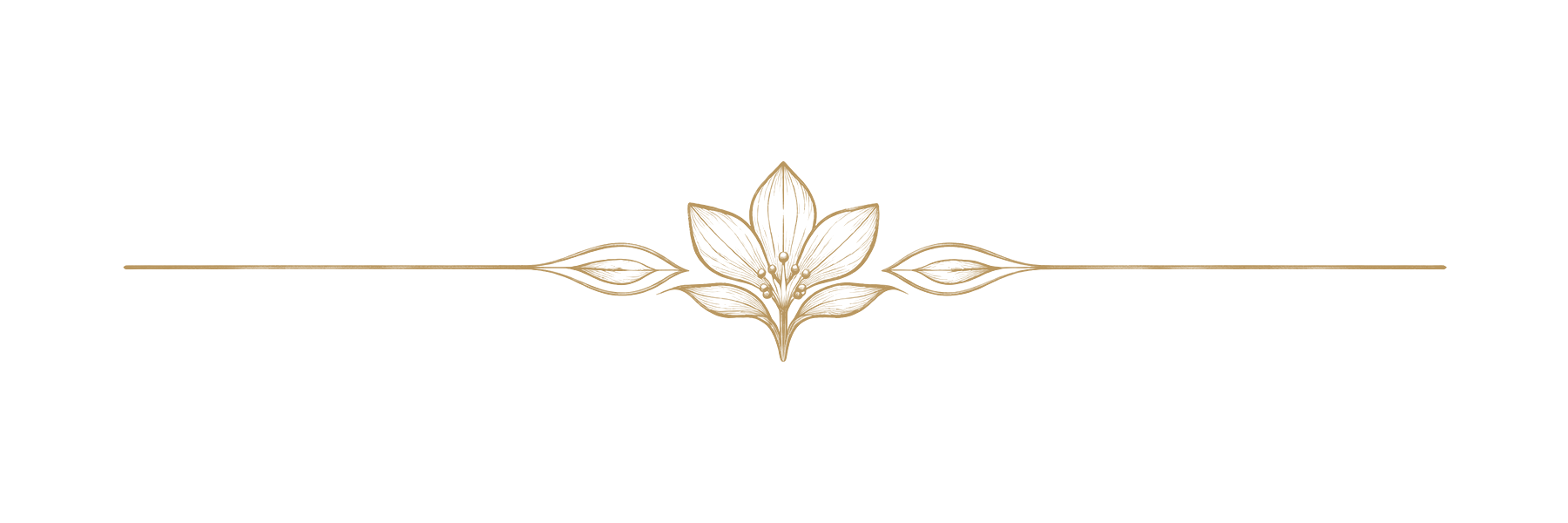 Centre divider