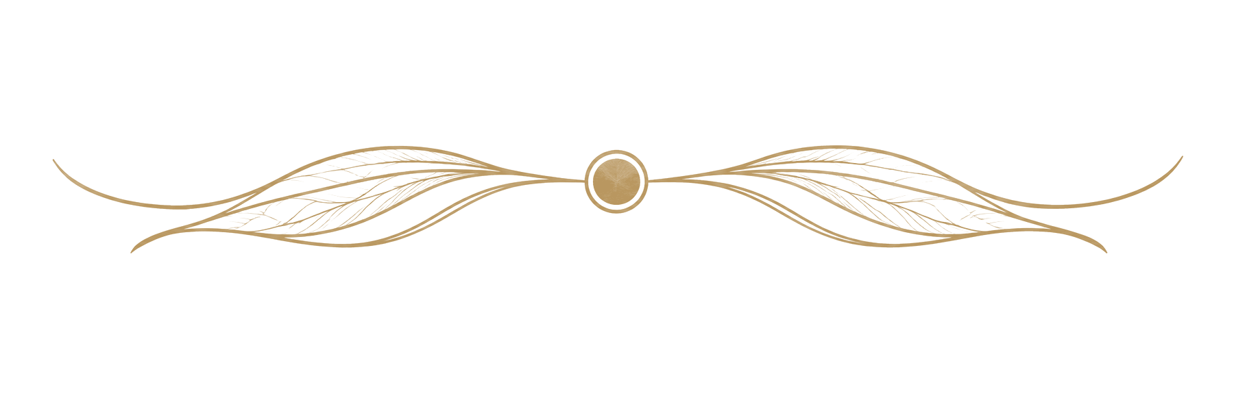 Section rule